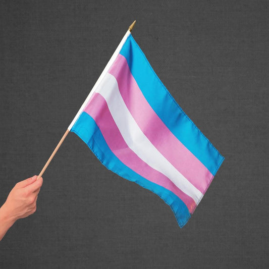 Transgender Stick Flag 12x18in