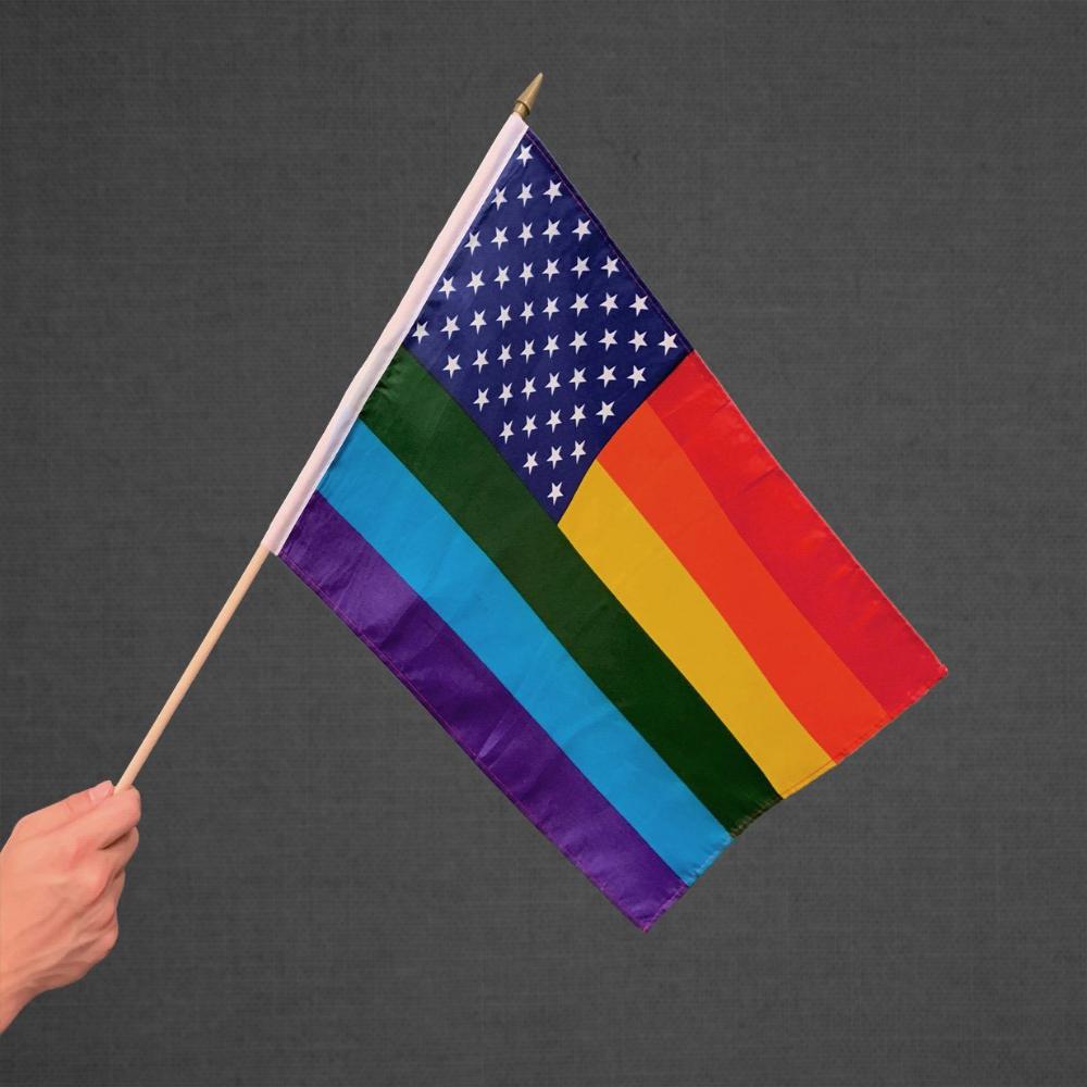 Rainbow American Stick Flag 12x18in